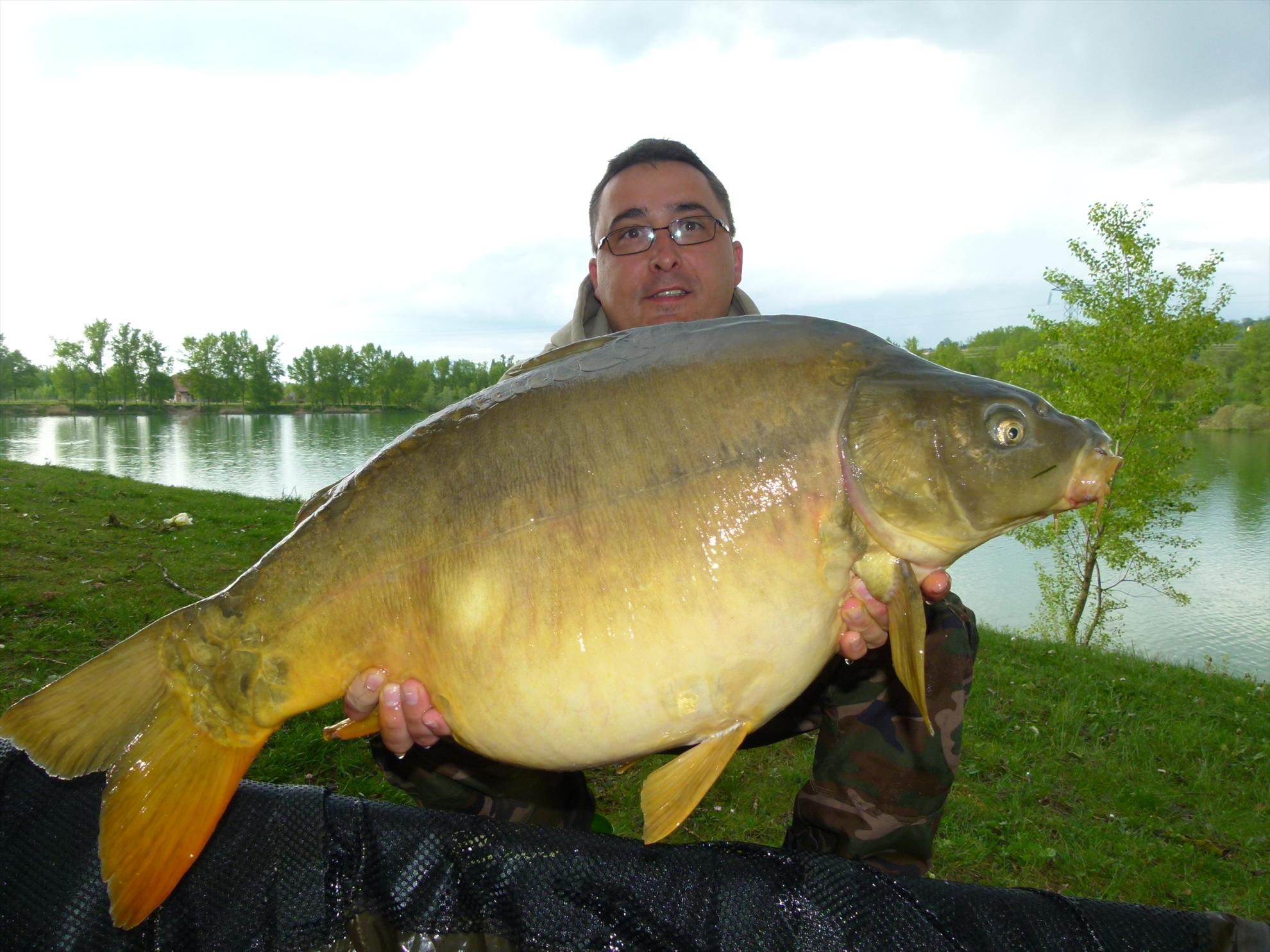 THE BIGS OF 2012 - p1000012.JPG